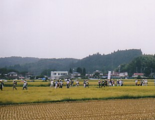 kuodawara-shirakawa.jpg